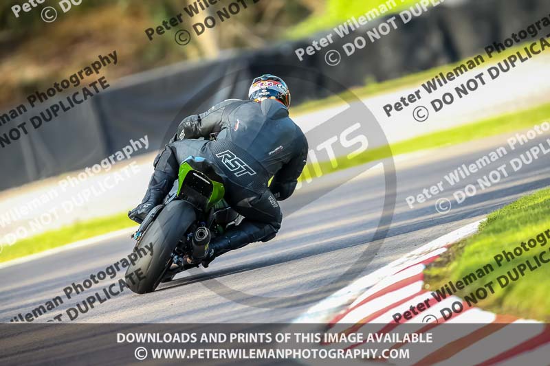 Oulton Park 20th March 2020;PJ Motorsport Photography 2020;anglesey;brands hatch;cadwell park;croft;donington park;enduro digital images;event digital images;eventdigitalimages;mallory;no limits;oulton park;peter wileman photography;racing digital images;silverstone;snetterton;trackday digital images;trackday photos;vmcc banbury run;welsh 2 day enduro